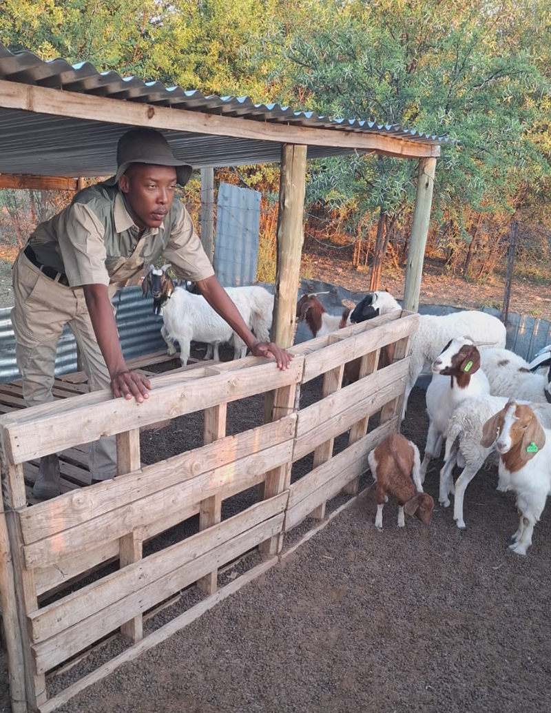 Thamia Kganedi