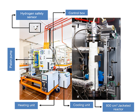 hydrogenation system