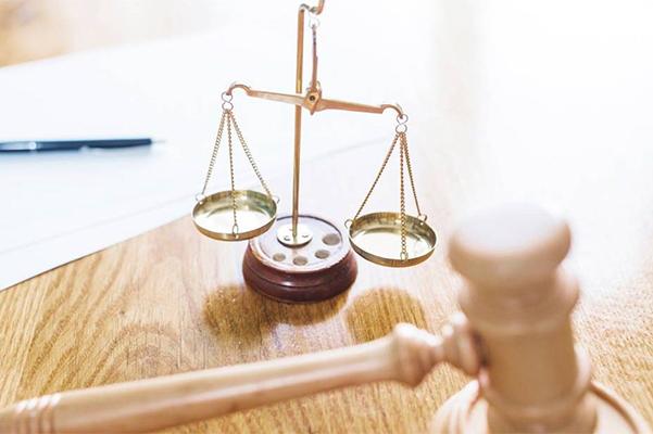 Prof. Mmusinyane’s customary law insights shape landmark surrogacy judgment